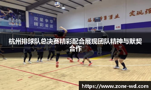 杭州排球队总决赛精彩配合展现团队精神与默契合作